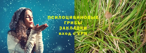 бошки Зеленодольск