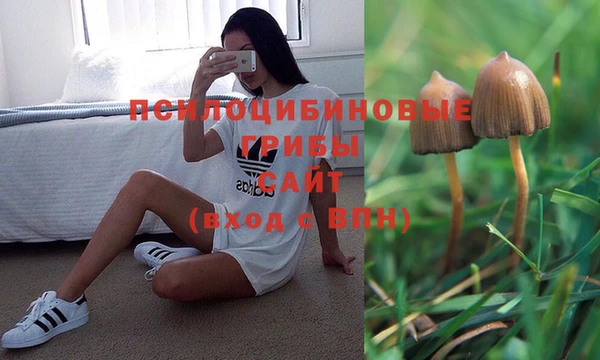 бошки Зеленодольск