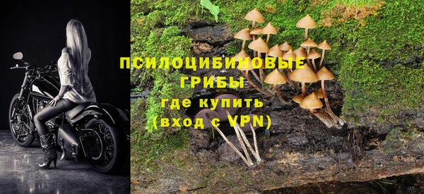 марки lsd Киров